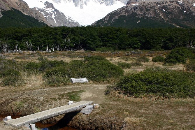 Full-Day Hiking Tour to the Base of Paine Towers at Torres Del Paine National Park - Reviews and Feedback