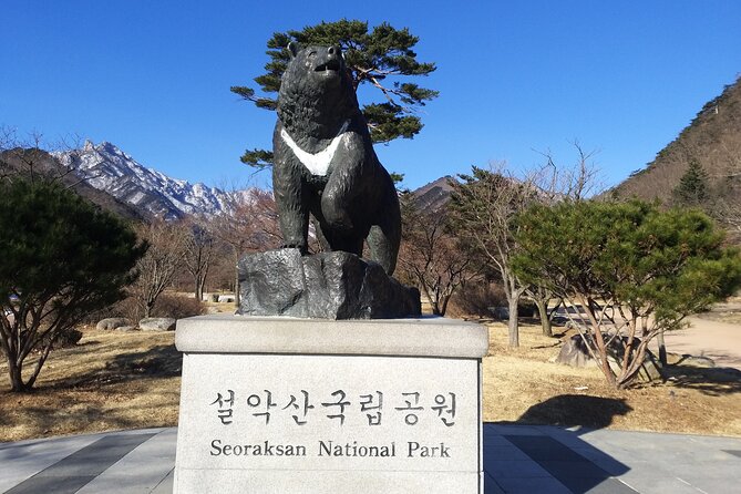 Full-Day Tour in Mt. Seorak & Nami (+Rail Bike Option) - Exploring Nami Island