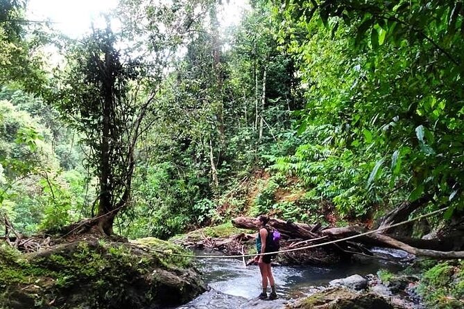 Full-Day Tour in Sirena and San Pedrillo With Lunch - Sirena Ranger Station