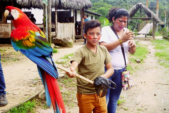 Full Day Tour to the Jungle of Puyo - Tour Itinerary