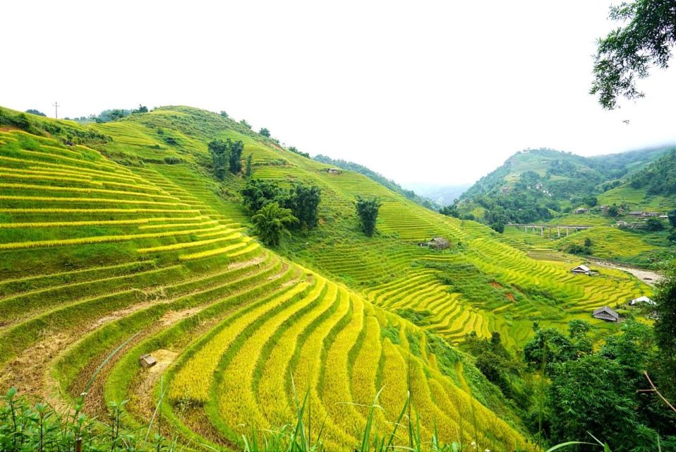 Full Day Trekking Lao Chai-Ta Van and Cat Cat Village - Itinerary Highlights