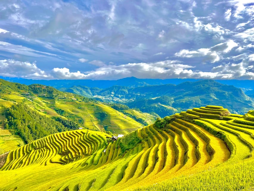 Full Day Trekking Mu Cang Chai - Itinerary Highlights