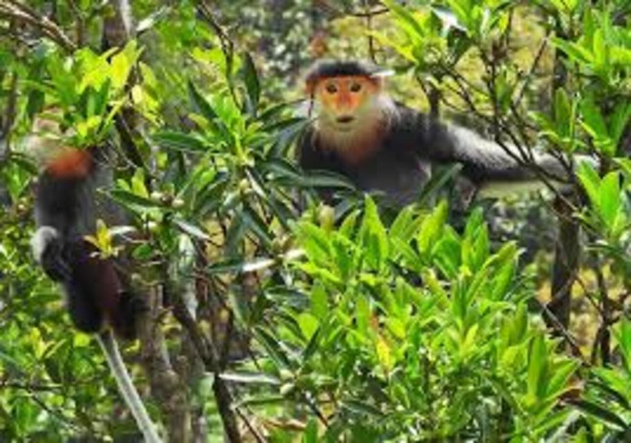 Full-Day Trekking Tour Bach Ma National Park From Hue City - Booking Details