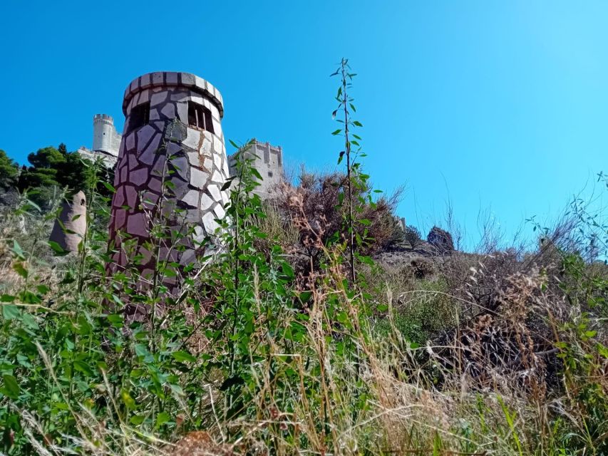 Full Day Wine Tour in Ribera Del Duero From Madrid - Pricing and Duration