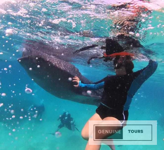 Genuine Tours - OSLOB Snorkeling - Pricing and Booking