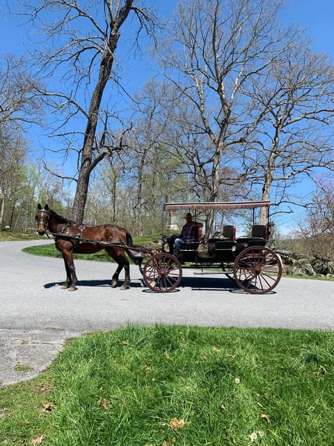 Gettysburg: Culps Hill Historical Carriage Ride Tour - Price and Duration