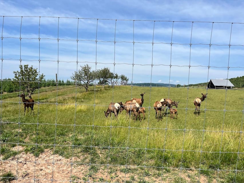 Gettysburg: Horse-Drawn Carriage Tour Countryside & Orchards - Activity Details