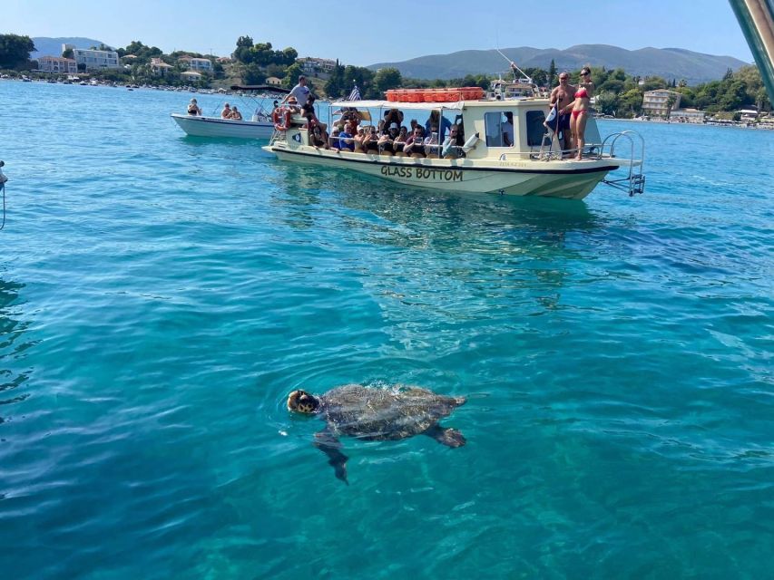 Glass Boat Cruises to Spot Turtles - Experience Highlights