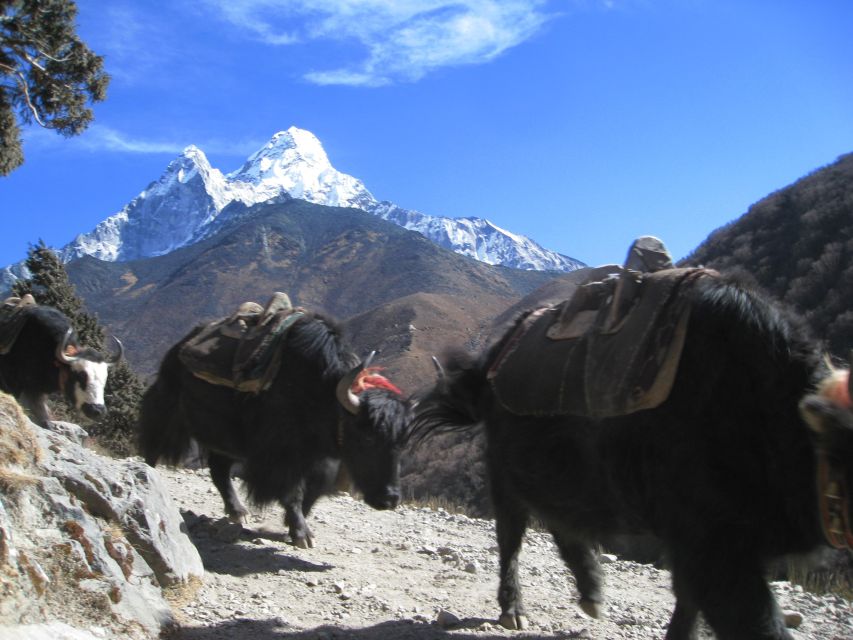 Glimpse of the Mount Everest- 7 Days Trek From Kathmandu - Inclusions and Exclusions