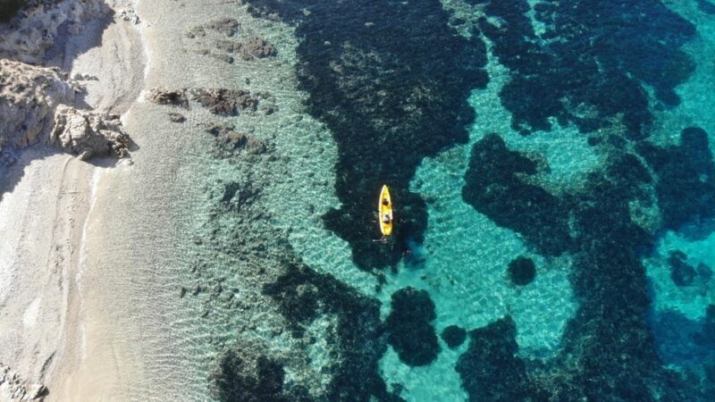 Golfo Aranci: Small Group Kayak Tour With Aperitif &Dolphins - Itinerary Details
