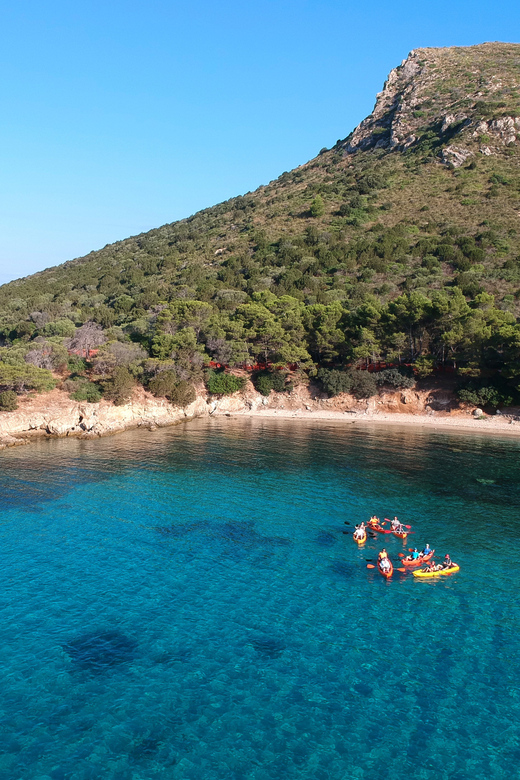 Golfo Aranci: Sunrise Dolphin Kayak Tour With Breakfast - Activity Highlights