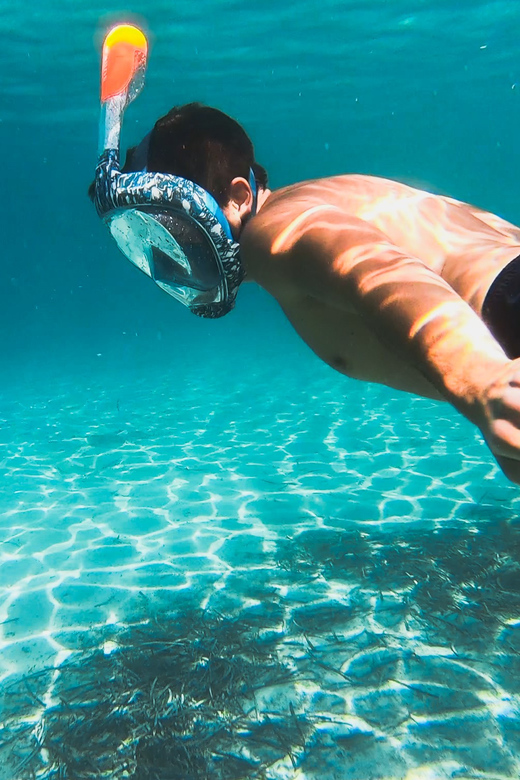 Golfo Aranci: Sunset Dolphin Kayak Tour With Aperitif - Experience Highlights