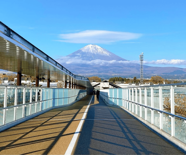 Gotemba Premium Outlets Shopping Tour From Tokyo - Accessibility Features