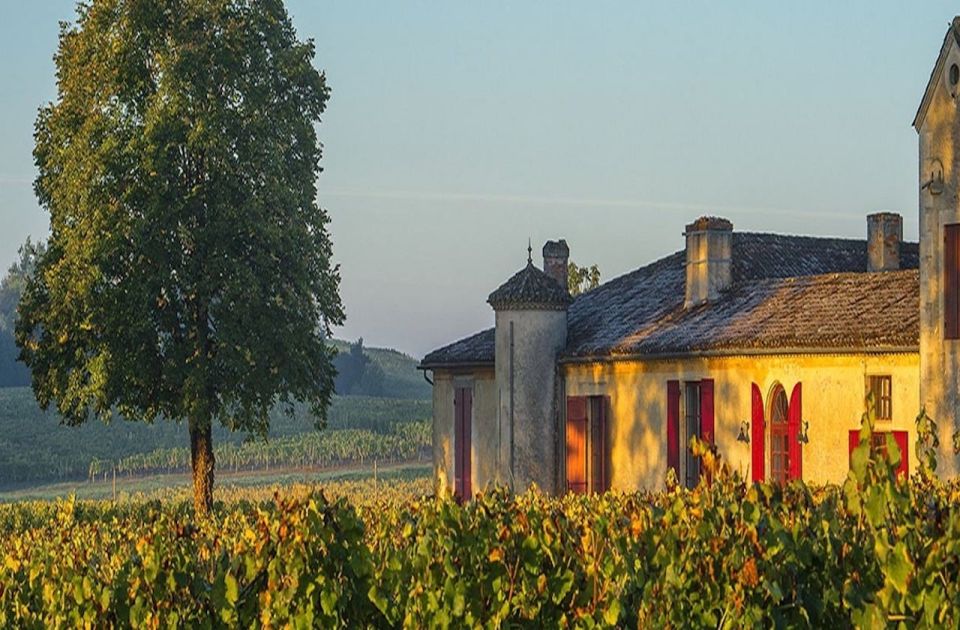 Gourmet Experience at Chateau Sigalas Rabaud Premier Cru - Pricing and Reservation