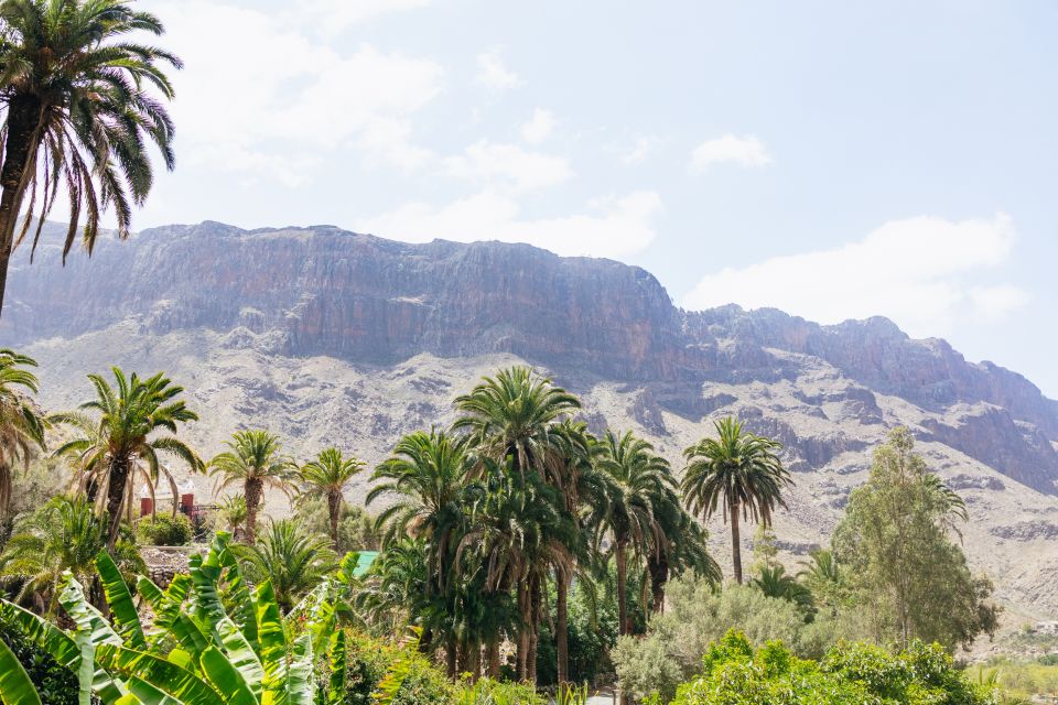 Gran Canaria: Camel Ride Safari W/ Optional Food & Transport - Pricing and Inclusions