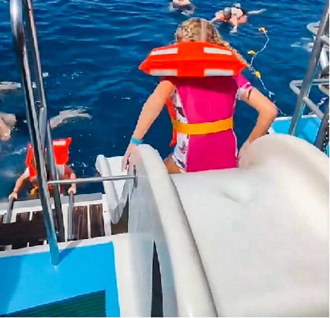 Gran Canaria: Catamaran Dolphin Watch Cruise With Snorkeling - Experience Highlights