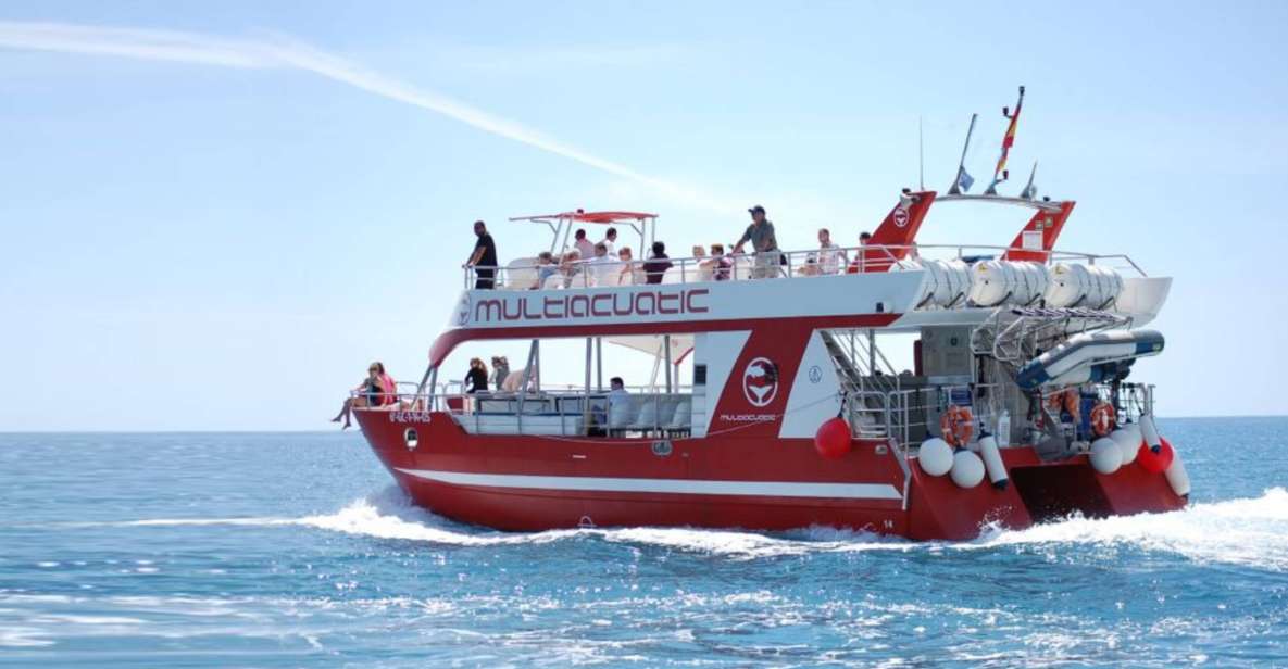 Gran Canaria: Dolphin and Whale Watching Cruise - Experience Details