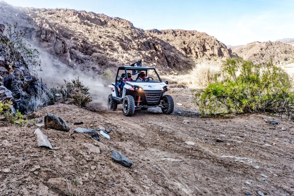 Gran Canaria Guided Buggy Tour - Itinerary and Highlights