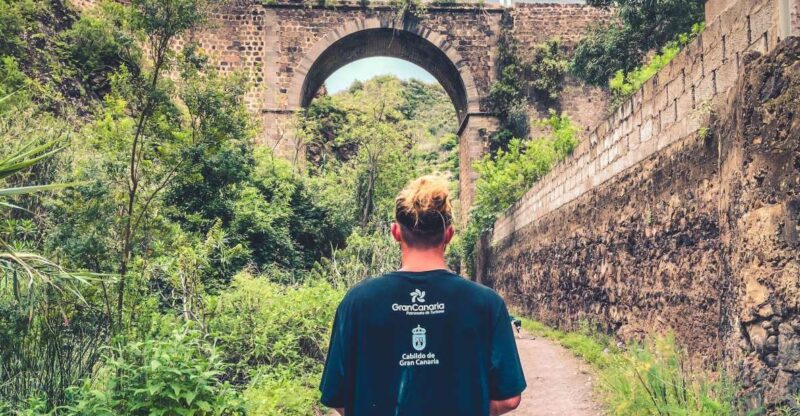 Gran Canaria: Guided Day Tour to Rainforest With Tasting - Itinerary and Highlights