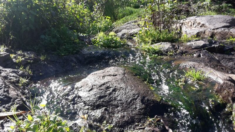 Gran Canaria: Magic Waterfalls Hiking Tour - Itinerary and Highlights