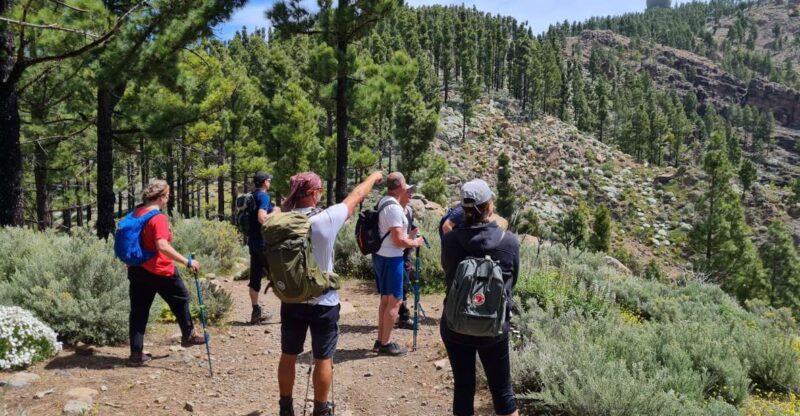 Gran Canaria: Peaks of Gran Canaria Hiking Tour - Itinerary and Experience
