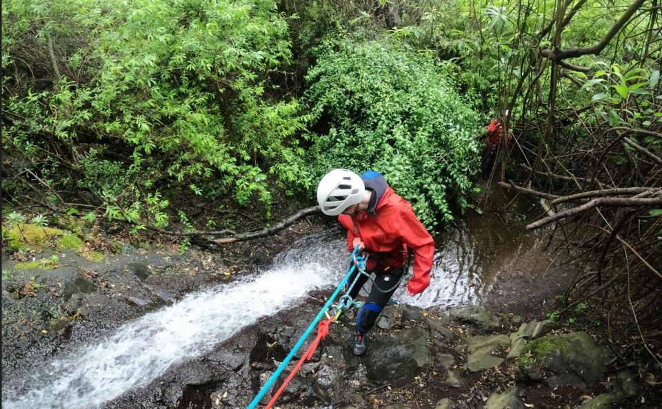 Gran Canaria: Rainforest Canyoning Tour With Gear and Snack - Highlights of the Experience