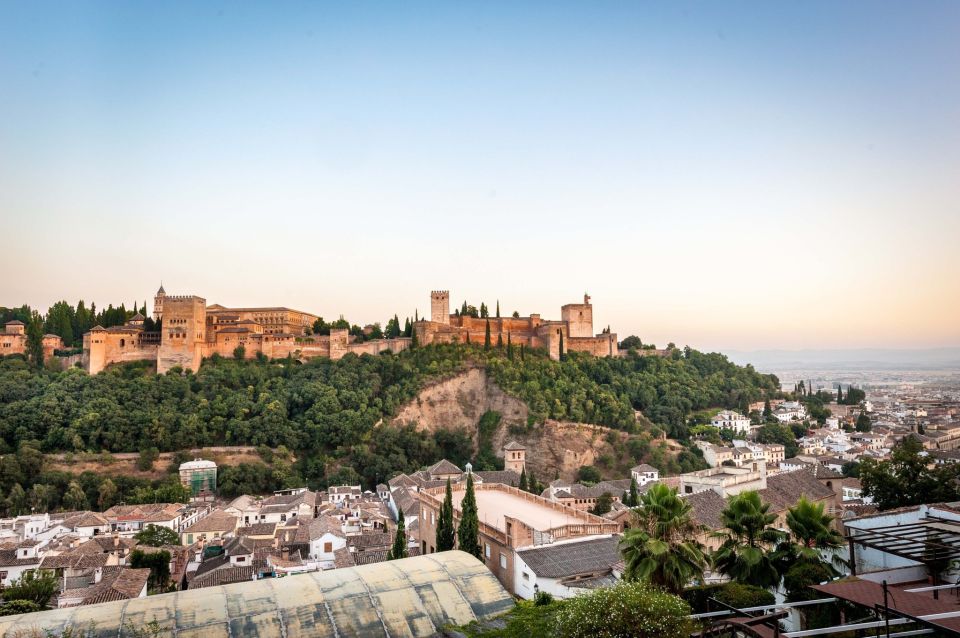 Granada: Alhambra Complex Guided Tour Options - Experience and Highlights