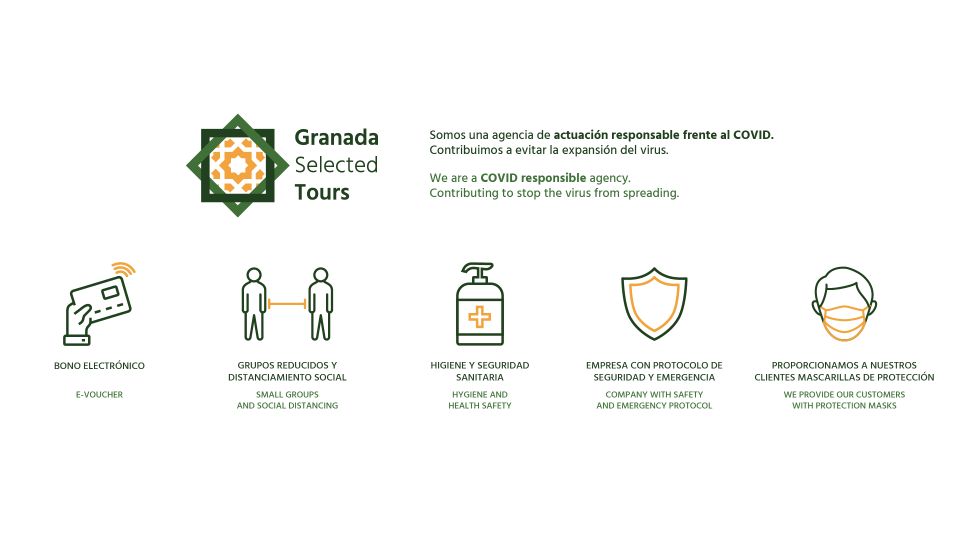 Granada: Fast-Track Alhambra & Nasrid Palaces Guided Tour - Experience Highlights