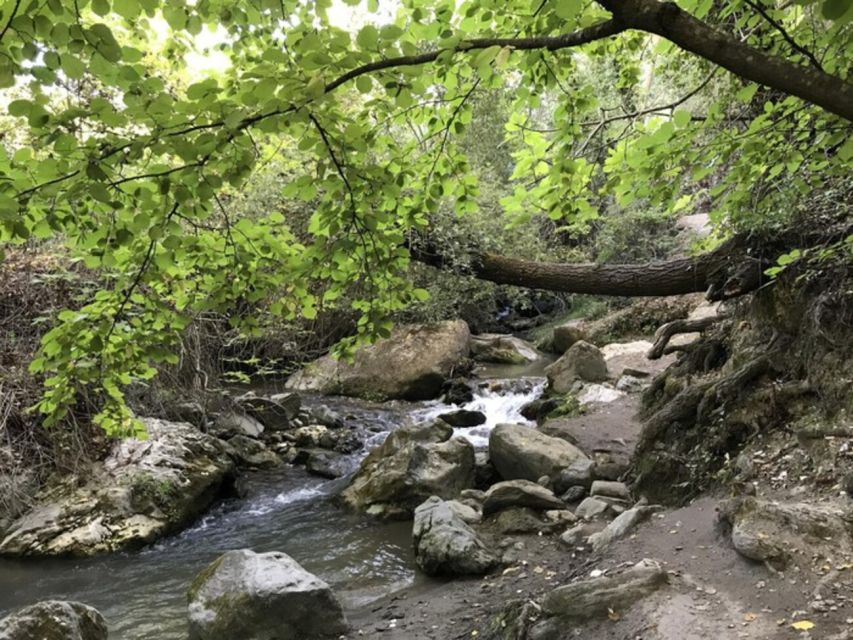 Granada: Guided Day Hike in Los Cahorros De Monachil - Experience Highlights