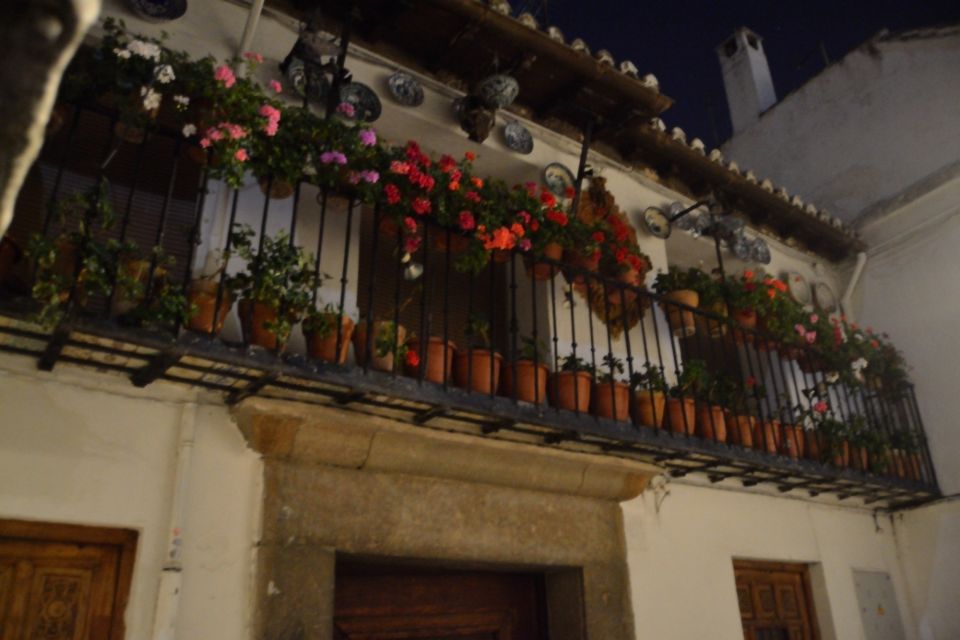 Granada: Sacromonte Caves Flamenco Show - Experience Highlights