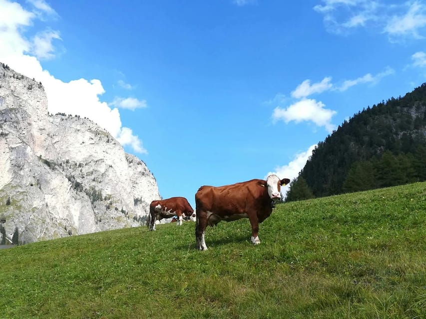 Grand Dolomites Tour to Fiemme & Fassa Valleys & Pordoi Pass - Experience Highlights