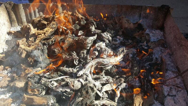 Guardiola De Font-Rubí: Winery & Grill Menu Tour - Experience Highlights
