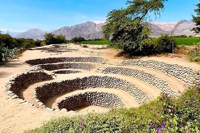 Guided Cantalloc Aqueduct Tour in Nazca - Small Group - Tour Details