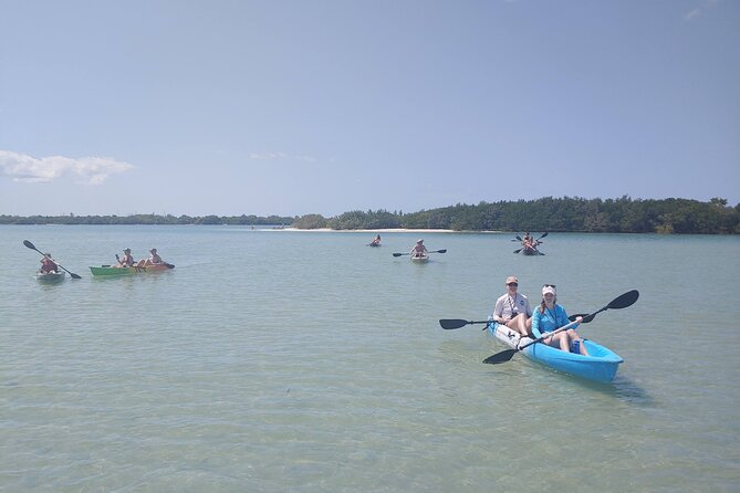 Guided Kayak EcoTour of Beautiful Shell Key Preserve - Tour Highlights and Activities