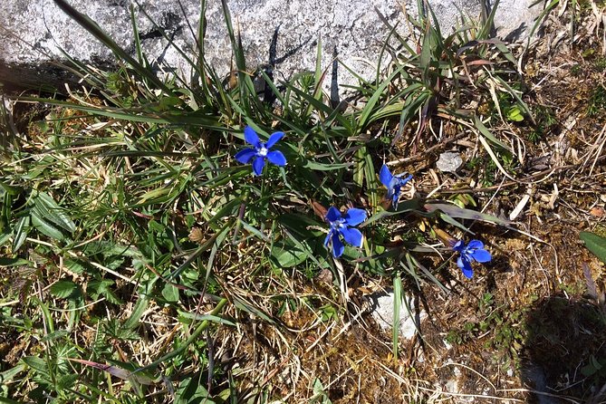 Guided Tour of the Burren on Electric Bikes - Included Features