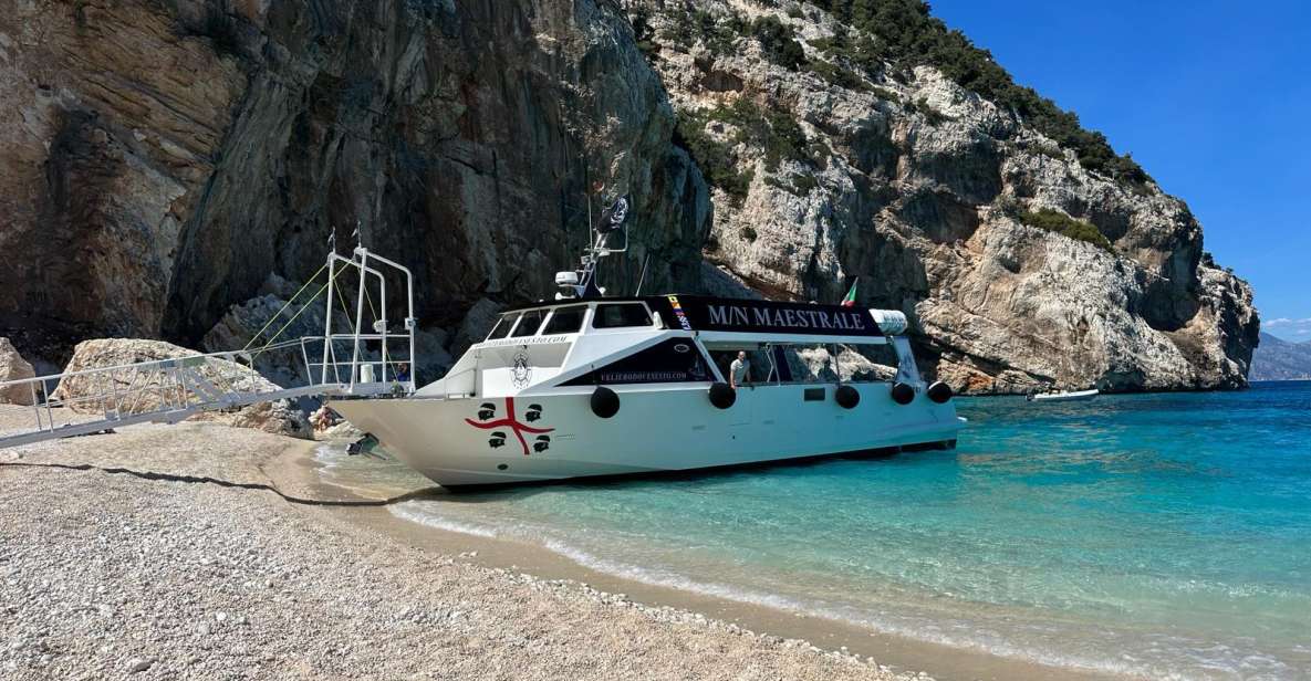 Gulf of Orosei: Grotta Del Bue Marino & Cala Luna Boat Tour - Highlights of the Tour