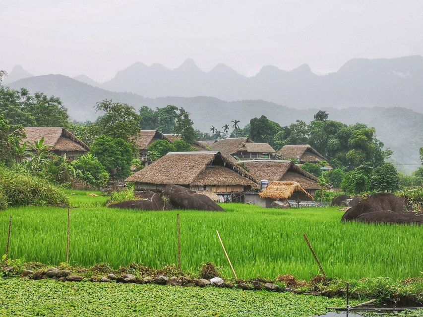 Ha Giang Comfort Car Ride Tour in 4D3N - Detailed Itinerary