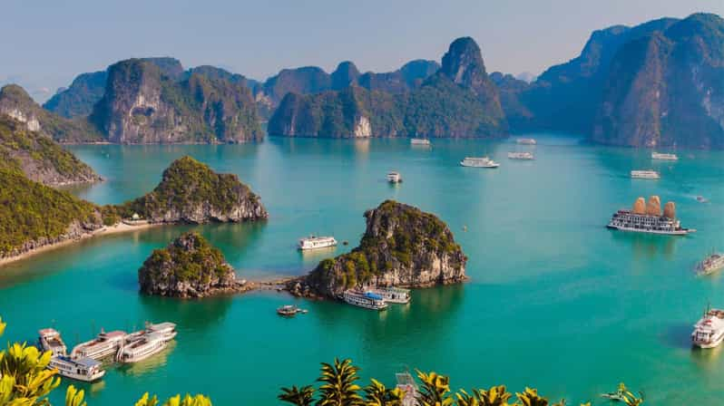 Ha Long 1 Day Small Group & Kayak - Itinerary Highlights