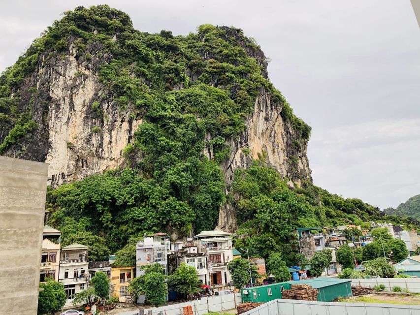 Ha Long: Inland City Tour - Seafood Market Experience