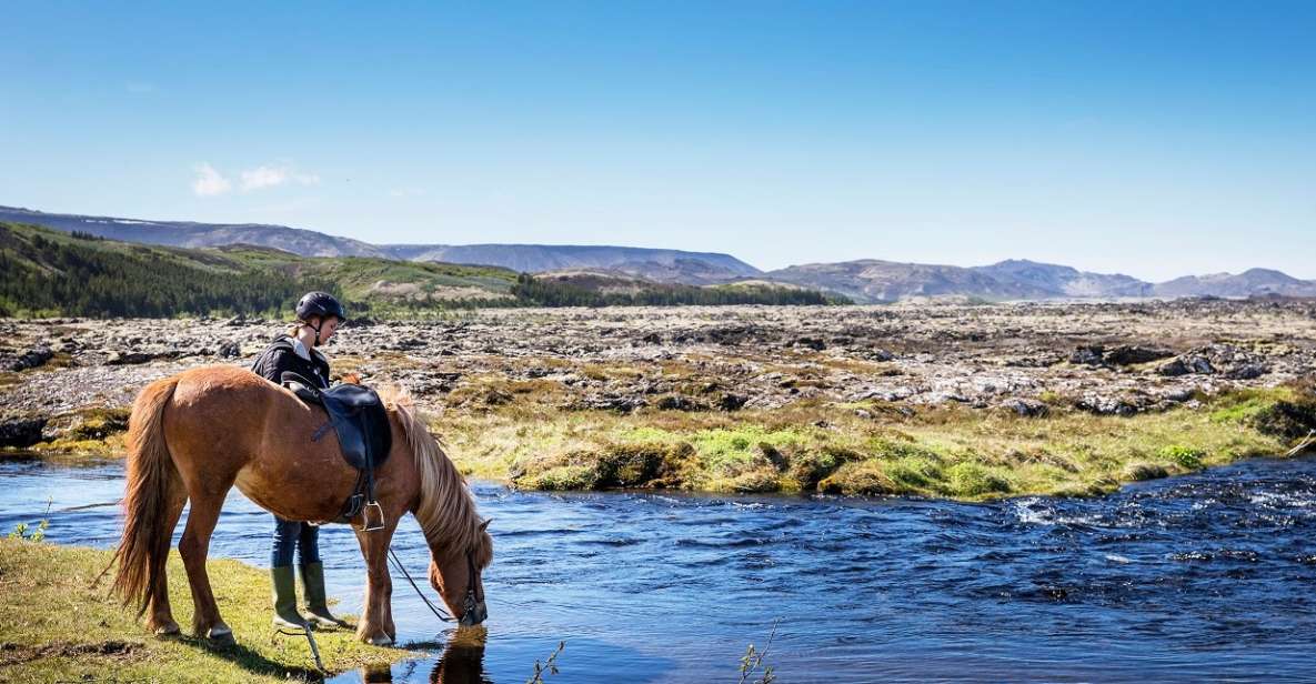 Hafnarfjörður: Horseback Riding Tour in Reykjavik Area - Itinerary Highlights