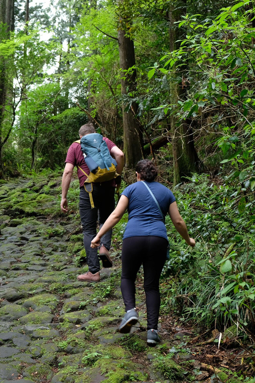 Hakone: Forest Bathing Hike With Lake Ashi and Mt. Fuji View - Important Information