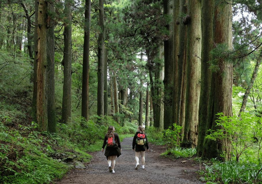 Hakone: Forest Bathing Hike With Lake Ashi and Mt. Fuji View - Prohibitions