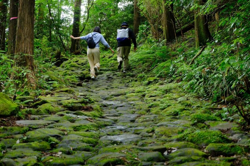 Hakone Hachiri: Old Tokaido Highway Hiking Tour - Important Information