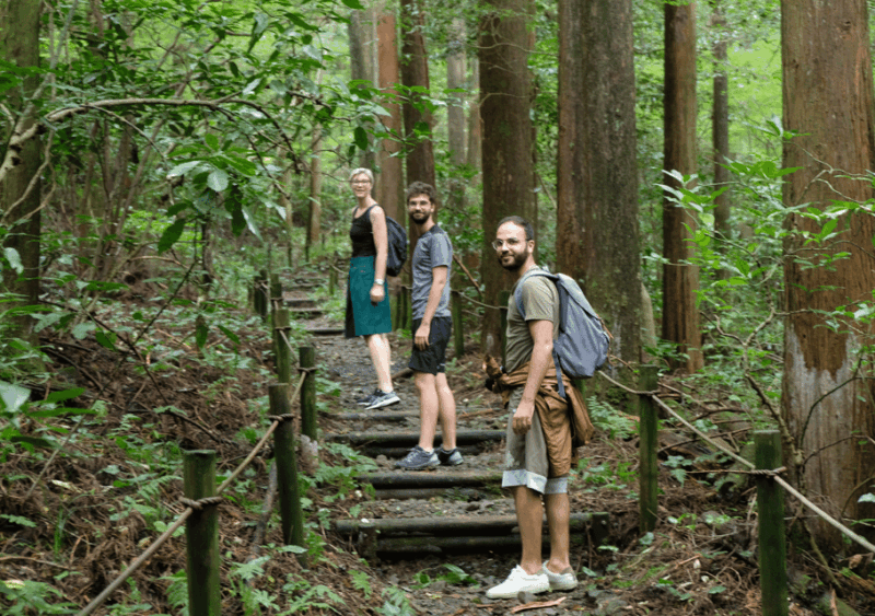 Hakone Hachiri: Old Tokaido Highway Hiking Tour - What to Bring