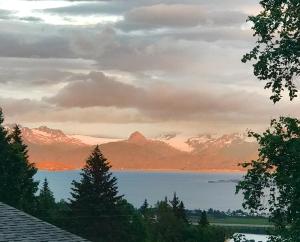 Halcyon Heights B&B/Inn - Location Highlights