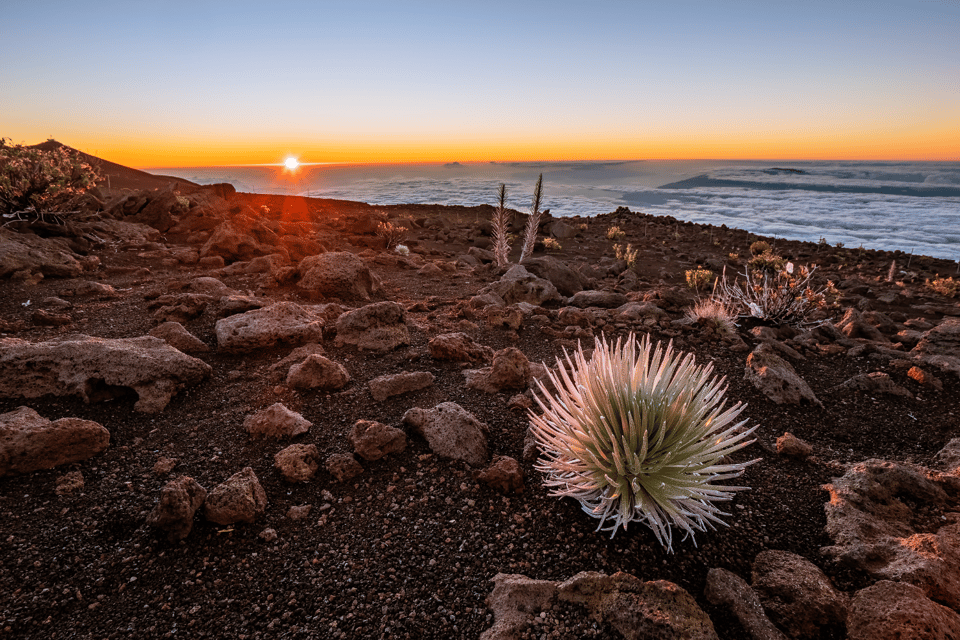 Haleakalā: Discover Volcanic Wonders Driving Tour - Tour Experience and Highlights