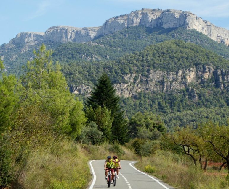 Half-Day Bike Tour From Salou - Experience Highlights