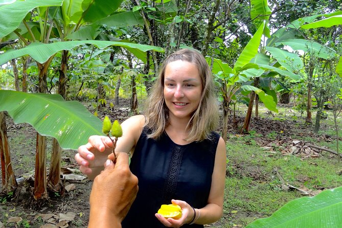 Half Day Bliss Cacao Farm Adventure & Guayaquil City Highlights - Inclusions and Logistics