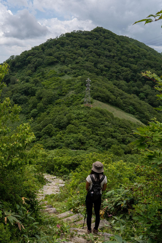 Half Day Hike To the Top of Old Mikuni-kaido Pass - Experience Highlights