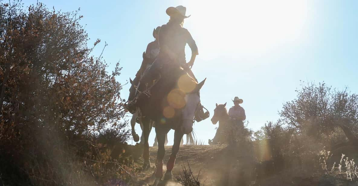 Half Day Horseback Riding Experience Through Joshua Tree - Itinerary Details